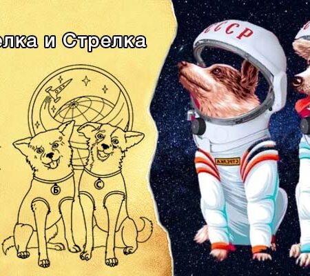 Триумф Белки и Стрелки: Путь к Звездам и Возвращение на Землю