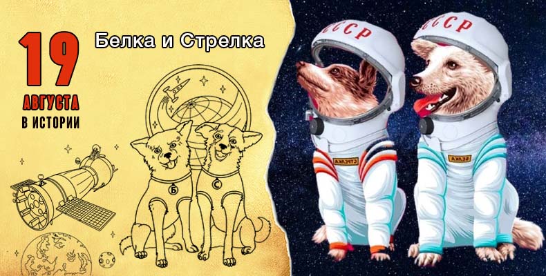 Preview Триумф Белки и Стрелки: Путь к Звездам и Возвращение на Землю