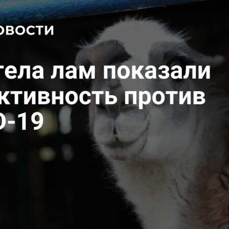 Наноантитела лам эффективно борются с разнообразными штаммами COVID-19