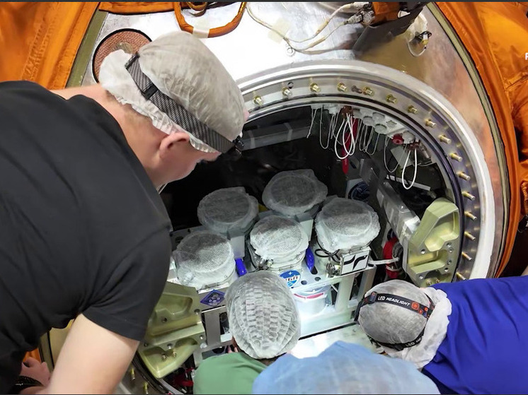 Preview Полет биоспутника ‘Бион-М’ №2 с мышами и мухами проходит штатно