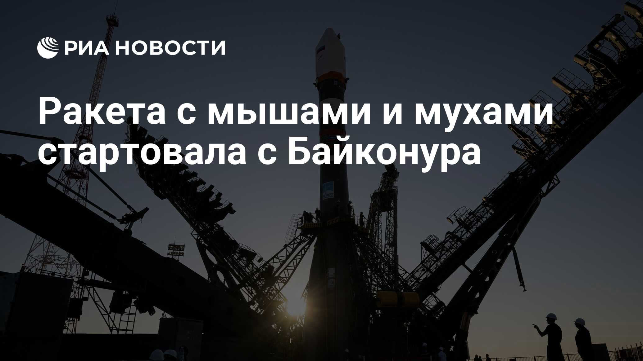 Preview Ракета с мышами и мухами успешно стартовала с Байконура