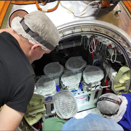 Успешный старт «Бион-М» №2: Мыши и мухи отправлены в космос для исследований