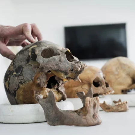 Сенсационная находка: новая ветвь человеческого рода обнаружена в Колумбии