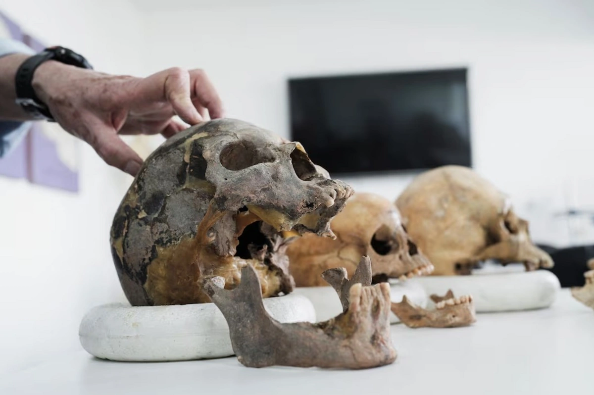 Preview Сенсационная находка: новая ветвь человеческого рода обнаружена в Колумбии