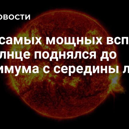 Активность Солнца: Риск мощных вспышек X-класса достиг максимума с середины лета