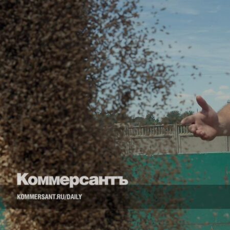 Зерно подождет цены и курса из-за моря