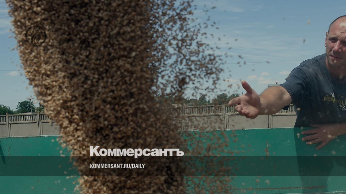 Preview Зерно подождет цены и курса из-за моря