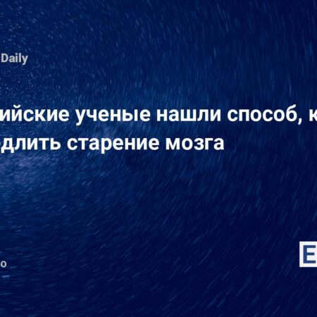 Ученые нашли способ замедлить старение мозга