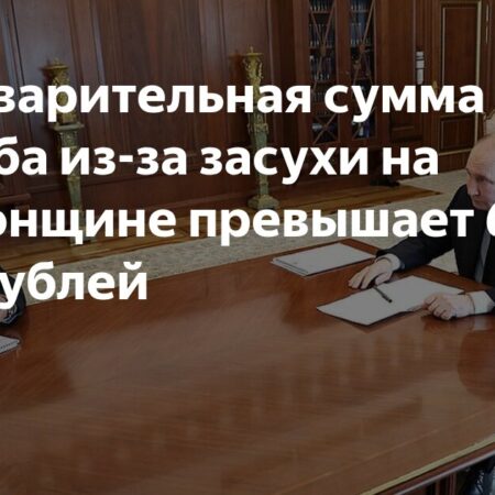 Предварительный Ущерб от Засухи на Херсонщине Оценивается в Более Чем 600 Миллионов Рублей