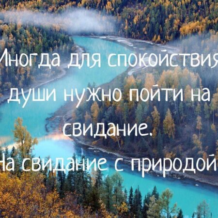 Природа: простой способ вернуть смысл жизни и обрести душевное равновесие