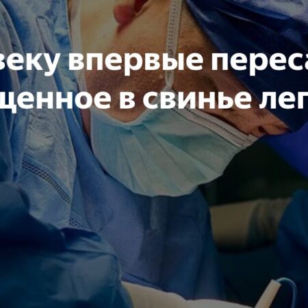 Человеку впервые пересадили легкое свиньи