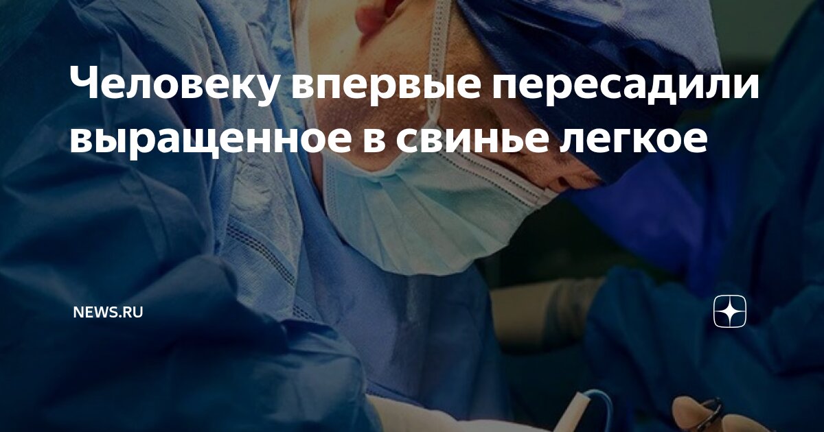 Preview Человеку впервые пересадили легкое свиньи