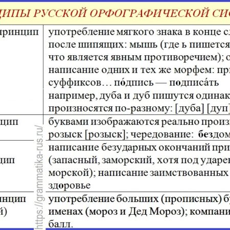«Принцип русских пельменей»: Революция в лечении сложных ран