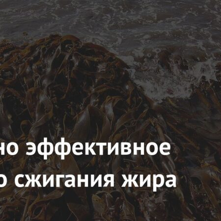 Обнаружено действенное средство для борьбы с ожирением