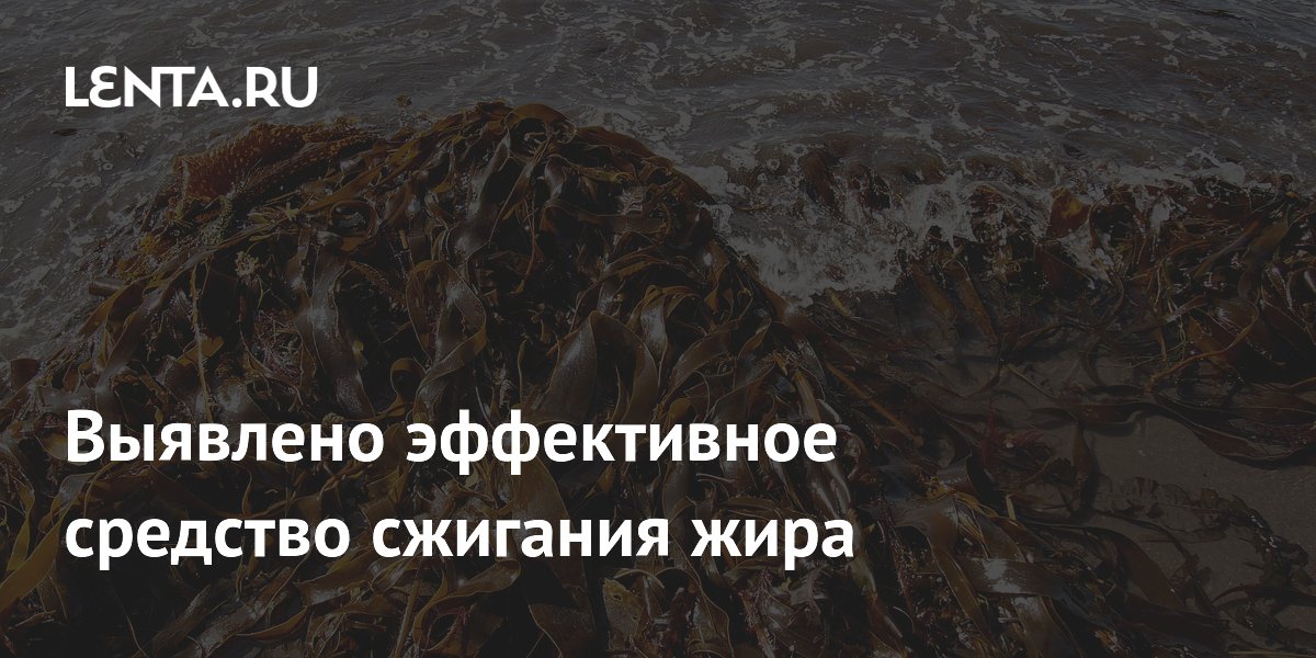 Preview Обнаружено действенное средство для борьбы с ожирением
