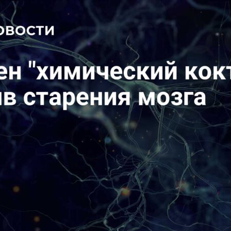 Найден ‘химический коктейль’ против старения мозга