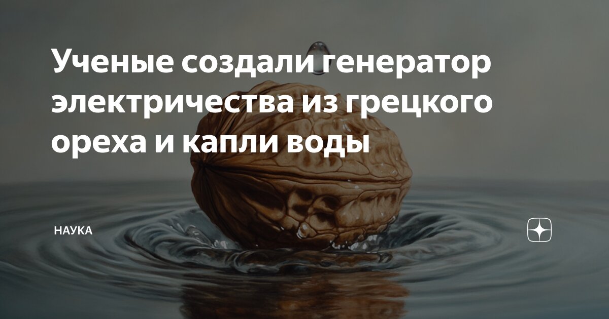 Preview Ученые получили электричество из ореховой скорлупы