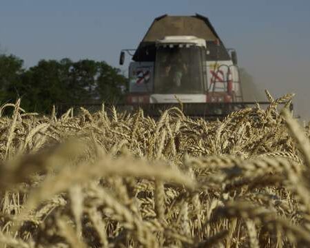 Россия экспортировала в 2024 году сельхозпродукцию на $45 млрд