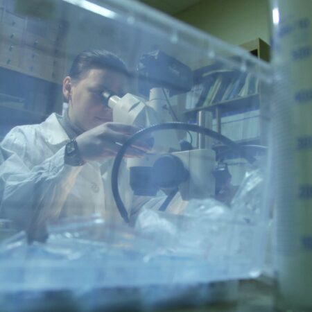 Кольский научный центр РАН исследует трансформацию арктического минерала