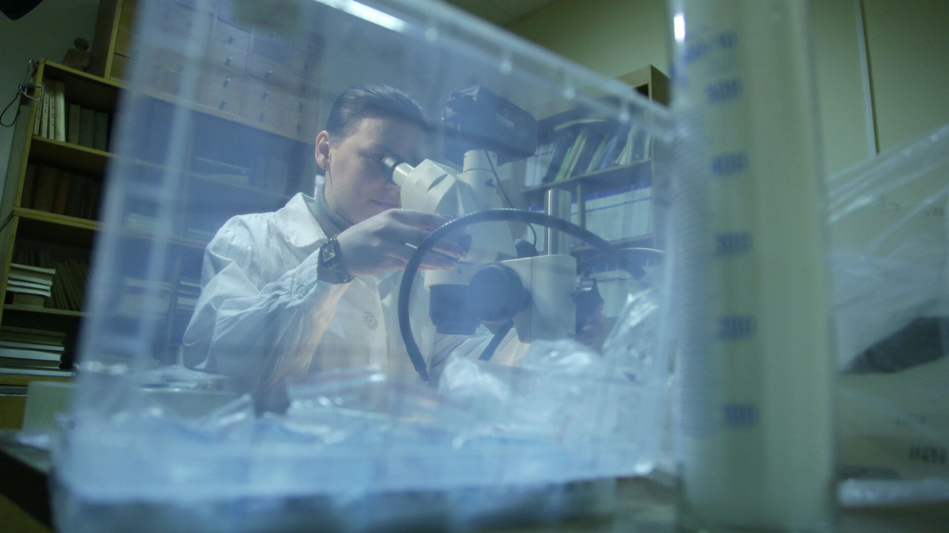 Preview Кольский научный центр РАН исследует трансформацию арктического минерала