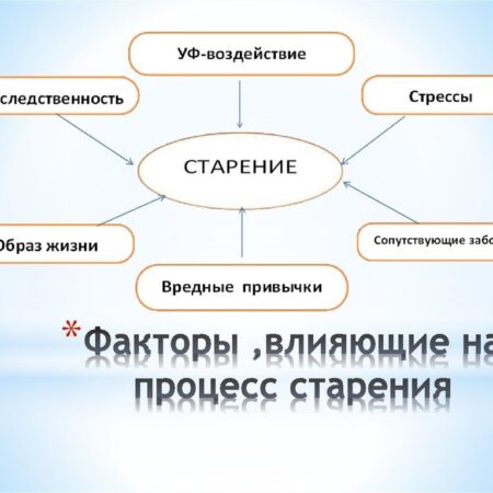Раскрыт новый фактор старения сердца: не только вес, но и его распределение
