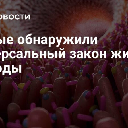 Ученые обнаружили универсальный закон живой природы