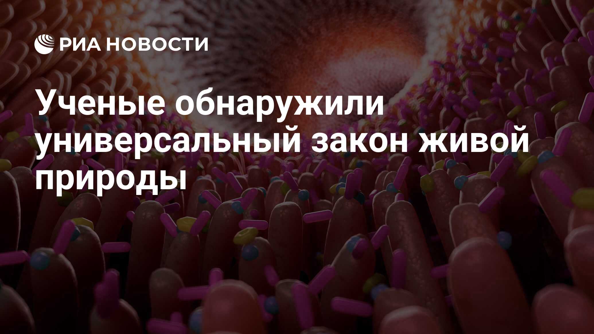 Preview Ученые обнаружили универсальный закон живой природы