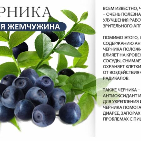 Неожиданная польза черники для здоровья: Секрет крепкого иммунитета