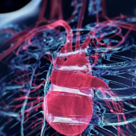 Инновационный подход в Туле: Предсказание сердечно-сосудистых рисков с учетом стресса