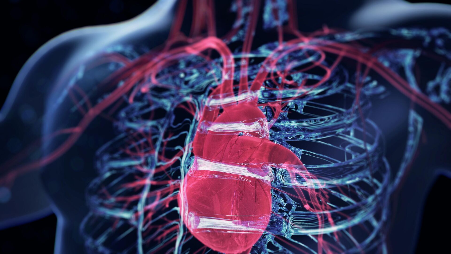 Preview Инновационный подход в Туле: Предсказание сердечно-сосудистых рисков с учетом стресса