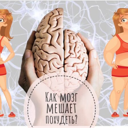 Исследование: лишний вес может быть не так плох для мозга пожилых людей