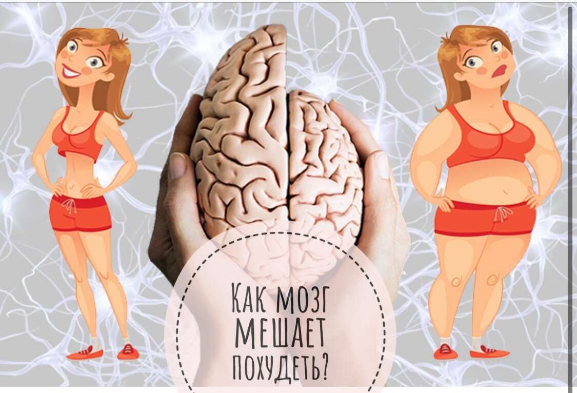 Preview Исследование: лишний вес может быть не так плох для мозга пожилых людей