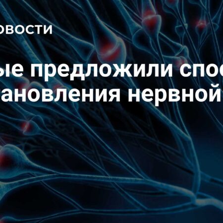 В России разработан инновационный материал для деликатного восстановления нервной ткани