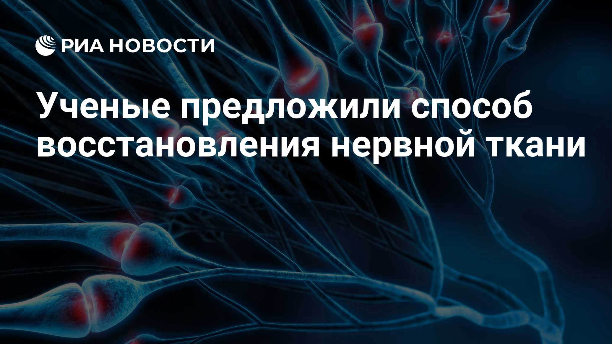 Preview В России разработан инновационный материал для деликатного восстановления нервной ткани