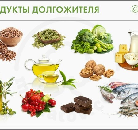 Наука пересматривает: ценность обогащенных зерновых продуктов для здоровья и долголетия