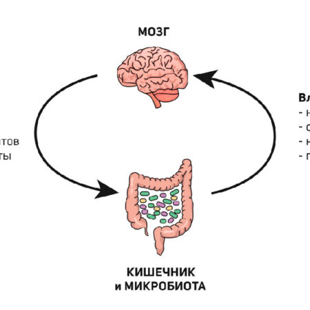Открытие: Пересадка Кишечной Микробиоты Оказывает Долгосрочное Благотворное Влияние на Здоровье Подростков