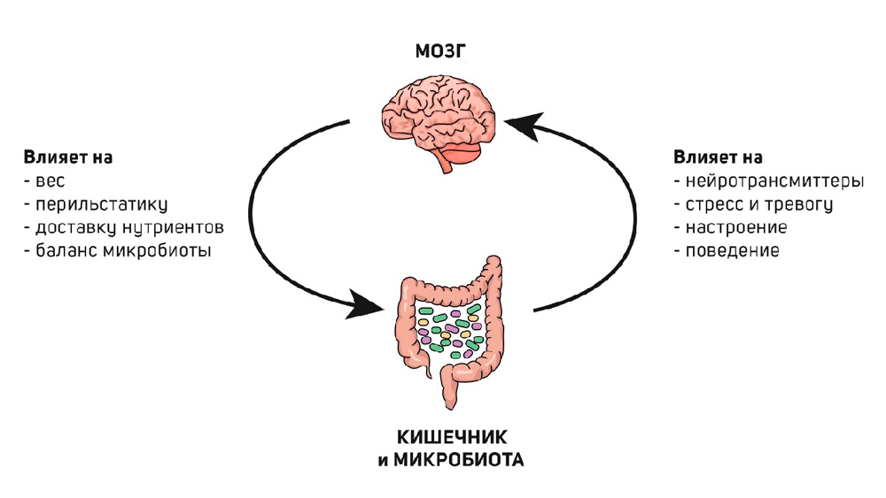 Preview Открытие: Пересадка Кишечной Микробиоты Оказывает Долгосрочное Благотворное Влияние на Здоровье Подростков