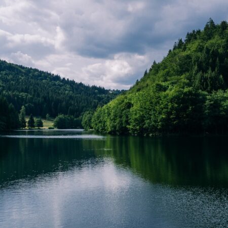 Тревожные находки: климатические изменения вызывают рост опасных микроорганизмов в пресных водоемах