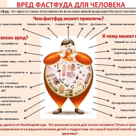 Неочевидный вред фастфуда для мозга: научное открытие