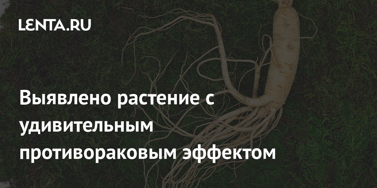 Preview Научное подтверждение: Женьшень демонстрирует мощный противораковый эффект