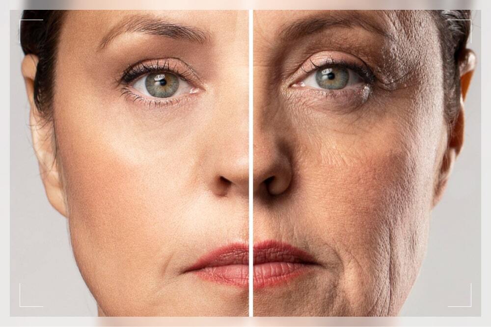 Preview Прорыв в борьбе со старением: инъекция SRCs замедляет возрастные процессы