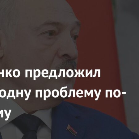 Лукашенко предложил решать проблему картофеля «по-военному»