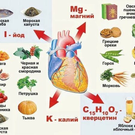 Эффективный метод улучшения работы сердца без медикаментов