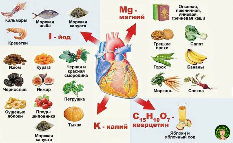 Preview Эффективный метод улучшения работы сердца без медикаментов