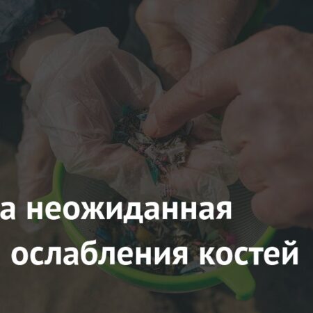 Микропластик как неожиданный фактор ослабления костей