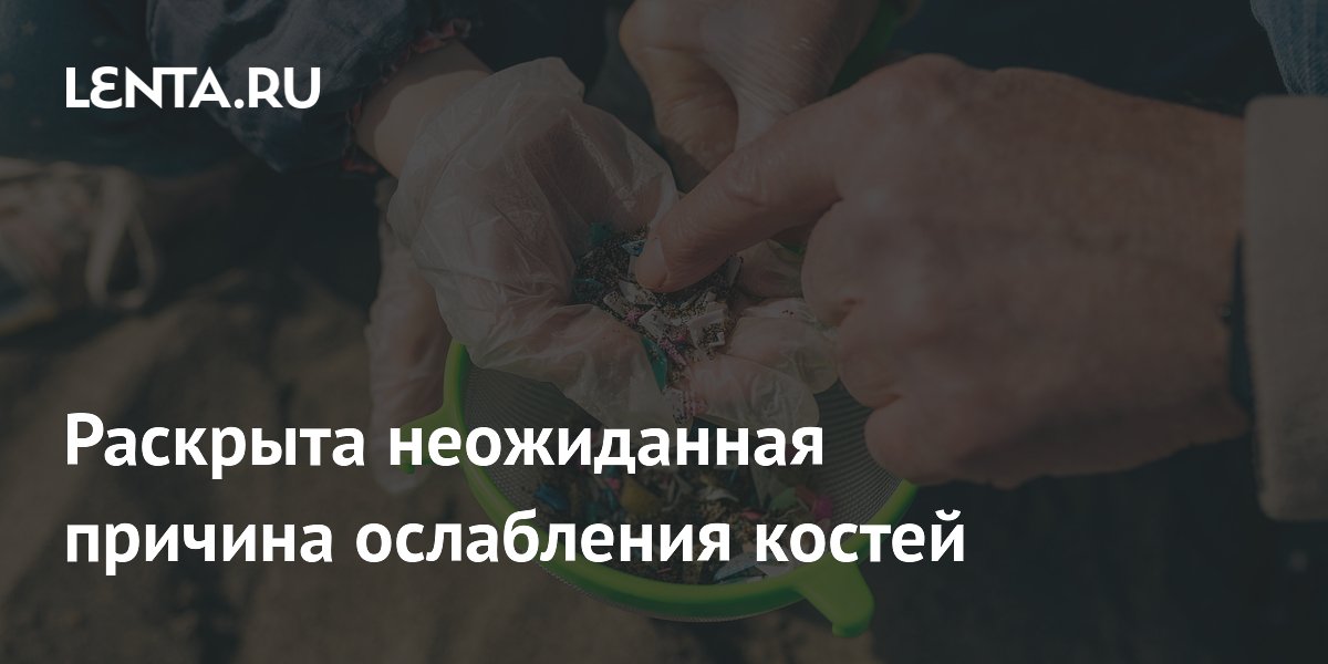 Preview Микропластик как неожиданный фактор ослабления костей