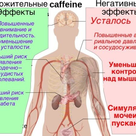 Научные данные опровергают миф: Кофеин не влияет на мозговую активность у детей и подростков