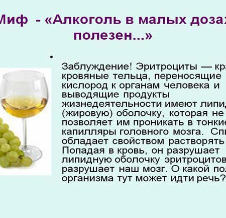 Развенчание мифа: «Полезный бокал вина» наносит вред мозгу