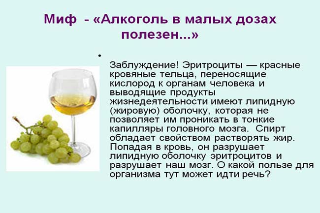 Preview Развенчание мифа: «Полезный бокал вина» наносит вред мозгу