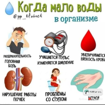 Скрытая угроза: как дефицит воды усиливает стресс в организме